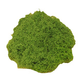 Maxbell Artificial Green Plants Potted Plant Crafts Filler Decor Patio 50G Faux Moss Light Green