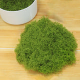 Maxbell Artificial Green Plants Potted Plant Crafts Filler Decor Patio 50G Faux Moss Light Green