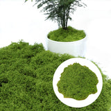 Maxbell Artificial Green Plants Potted Plant Crafts Filler Decor Patio 50G Faux Moss Light Green