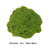 Maxbell Artificial Green Plants Potted Plant Crafts Filler Decor Patio 50G Faux Moss Light Green