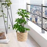 Maxbell Floor Planter Stand Space Saving Flower Stand for Patio Indoor Outdoor Decor S