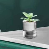 Maxbell Self Watering Pot Ornament Organizer Hydroponic Vase for Home Kitchen Garden Style B