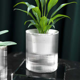 Maxbell Self Watering Pot Ornament Organizer Hydroponic Vase for Home Kitchen Garden Style B