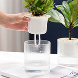 Maxbell Self Watering Pot Ornament Organizer Hydroponic Vase for Home Kitchen Garden Style B