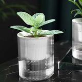Maxbell Self Watering Pot Ornament Organizer Hydroponic Vase for Home Kitchen Garden Style B