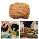 Maxbell 1000G Coconut Fiber Small Animals Comfortable Bedding for Canaries Hedgehogs
