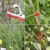 Maxbell Plant Tying Machine with Tape Staples Tomatoes Peppers Plant Vine Tying Tool