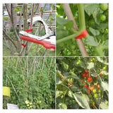 Maxbell Plant Tying Machine Garden Vegetable with Tape Staples Plant Vine Tying Tool with 10 Tapes