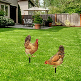 Maxbell Hen Shape Garden Stakes Decoration Acrylic Figurine for Garden Porch Pathway Style A and B
