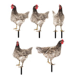 Maxbell Chicken Garden Statue Stake Hen Lawn Ornament Gift Outside Rooster Yard Arts Style A