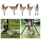 Maxbell Chicken Garden Statue Stake Hen Lawn Ornament Gift Outside Rooster Yard Arts Style A