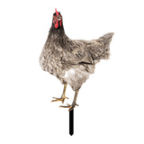 Maxbell Chicken Garden Statue Stake Hen Lawn Ornament Gift Outside Rooster Yard Arts Style A