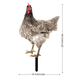 Maxbell Chicken Garden Statue Stake Hen Lawn Ornament Gift Outside Rooster Yard Arts Style A