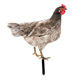 Maxbell Chicken Garden Statue Stake Hen Lawn Ornament Gift Outside Rooster Yard Arts Style B