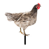 Maxbell Chicken Garden Statue Stake Hen Lawn Ornament Gift Outside Rooster Yard Arts Style B
