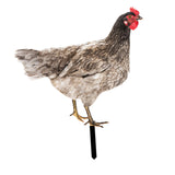 Maxbell Chicken Garden Statue Stake Hen Lawn Ornament Gift Outside Rooster Yard Arts Style B