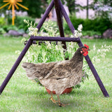 Maxbell Chicken Garden Statue Stake Hen Lawn Ornament Gift Outside Rooster Yard Arts Style B