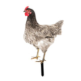Maxbell Chicken Garden Statue Stake Hen Lawn Ornament Gift Outside Rooster Yard Arts Style C