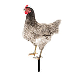 Maxbell Chicken Garden Statue Stake Hen Lawn Ornament Gift Outside Rooster Yard Arts Style C