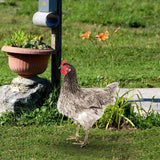 Maxbell Chicken Garden Statue Stake Hen Lawn Ornament Gift Outside Rooster Yard Arts Style C