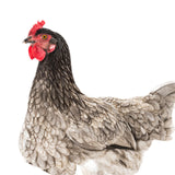Maxbell Chicken Garden Statue Stake Hen Lawn Ornament Gift Outside Rooster Yard Arts Style C