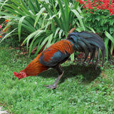 Maxbell Garden Stakes Decoration Yard Stakes Animal Sculpture for Garden Patio Fence Style B