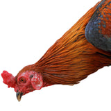 Maxbell Garden Stakes Decoration Yard Stakes Animal Sculpture for Garden Patio Fence Style B