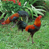 Maxbell Garden Stakes Decoration Yard Stakes Animal Sculpture for Garden Patio Fence Style A and B