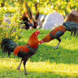 Maxbell Garden Stakes Decoration Yard Stakes Animal Sculpture for Garden Patio Fence Style A and B