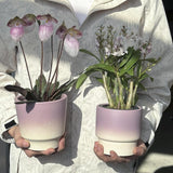 Maxbell Pottery Planter with Drainage Hole Plant Pot for Desktop Outdoor Indoor Yard 11cm