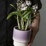 Maxbell Pottery Planter with Drainage Hole Plant Pot for Desktop Outdoor Indoor Yard 11cm