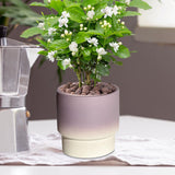 Maxbell Pottery Planter with Drainage Hole Plant Pot for Desktop Outdoor Indoor Yard 11cm