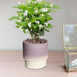 Maxbell Pottery Planter with Drainage Hole Plant Pot for Desktop Outdoor Indoor Yard 11cm