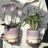 Maxbell Pottery Planter with Drainage Hole Plant Pot for Desktop Outdoor Indoor Yard 12cm