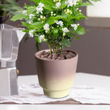 Maxbell Pottery Planter with Drainage Hole Plant Pot for Desktop Outdoor Indoor Yard 12cm