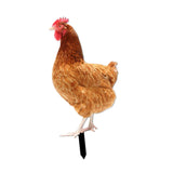 Maxbell Maxbell Garden Stakes Garden Decoration Chicken Sculpture for Outdoor Backyard Patio Style C