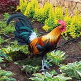 Maxbell Rooster Garden Stake Yard Sign Realistic Yard Art for Lawn Pathway Courtyard 21.5cmx25cm