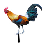 Maxbell Rooster Garden Stake Yard Sign Realistic Yard Art for Lawn Pathway Courtyard 24cmx23.66cm