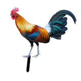 Maxbell Rooster Garden Stake Yard Sign Realistic Yard Art for Lawn Pathway Courtyard 24cmx23.66cm