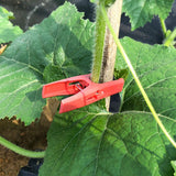 Maxbell 100x Plant Support Clips Plants Stem Clamp for Tomato Loofahs Trellis Fruits Flat Type S