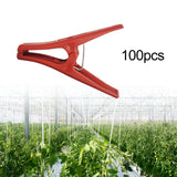 Maxbell 100x Plant Support Clips Plants Stem Clamp for Tomato Loofahs Trellis Fruits Flat Type S