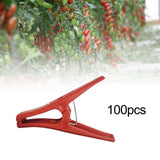 Maxbell 100x Plant Support Clips Plants Stem Clamp for Tomato Loofahs Trellis Fruits Flat Type S