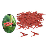 Maxbell 100x Plant Support Clips Plants Stem Clamp for Tomato Loofahs Trellis Fruits Flat Type S