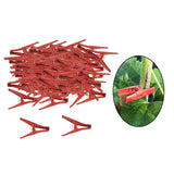 Maxbell 100x Plant Support Clips Plants Stem Clamp for Tomato Loofahs Trellis Fruits Flat Type S