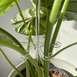 Maxbell 2 Pieces Plant Support Stakes Plant Stakes for Balcony Houseplant Greenhouse