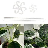 Maxbell 2 Pieces Plant Support Stakes Plant Stakes for Balcony Houseplant Greenhouse