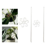 Maxbell Plant Support Stake Plant Stem Support Stick for Garden Courtyard Vegetables S