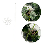Maxbell Plant Support Stake Plant Stem Support Stick for Garden Courtyard Vegetables S