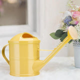 Maxbell Watering Can 1.5L Jar Portable Practical Watering Pot for Lawn Patio Outdoor Yellow