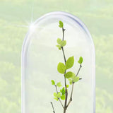 Maxbell Plant and Flower Resurrection Liquid Multipurpose for Home Fruit Trees Shrub